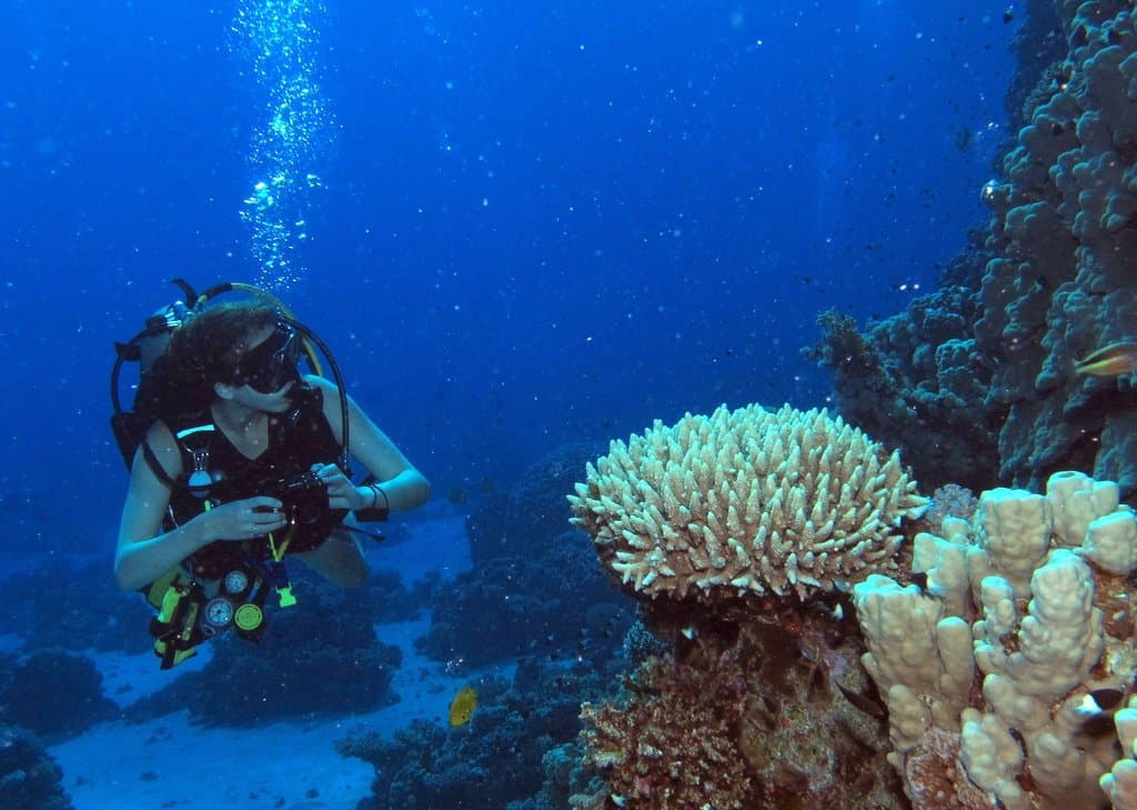 Abu Ramada Reef