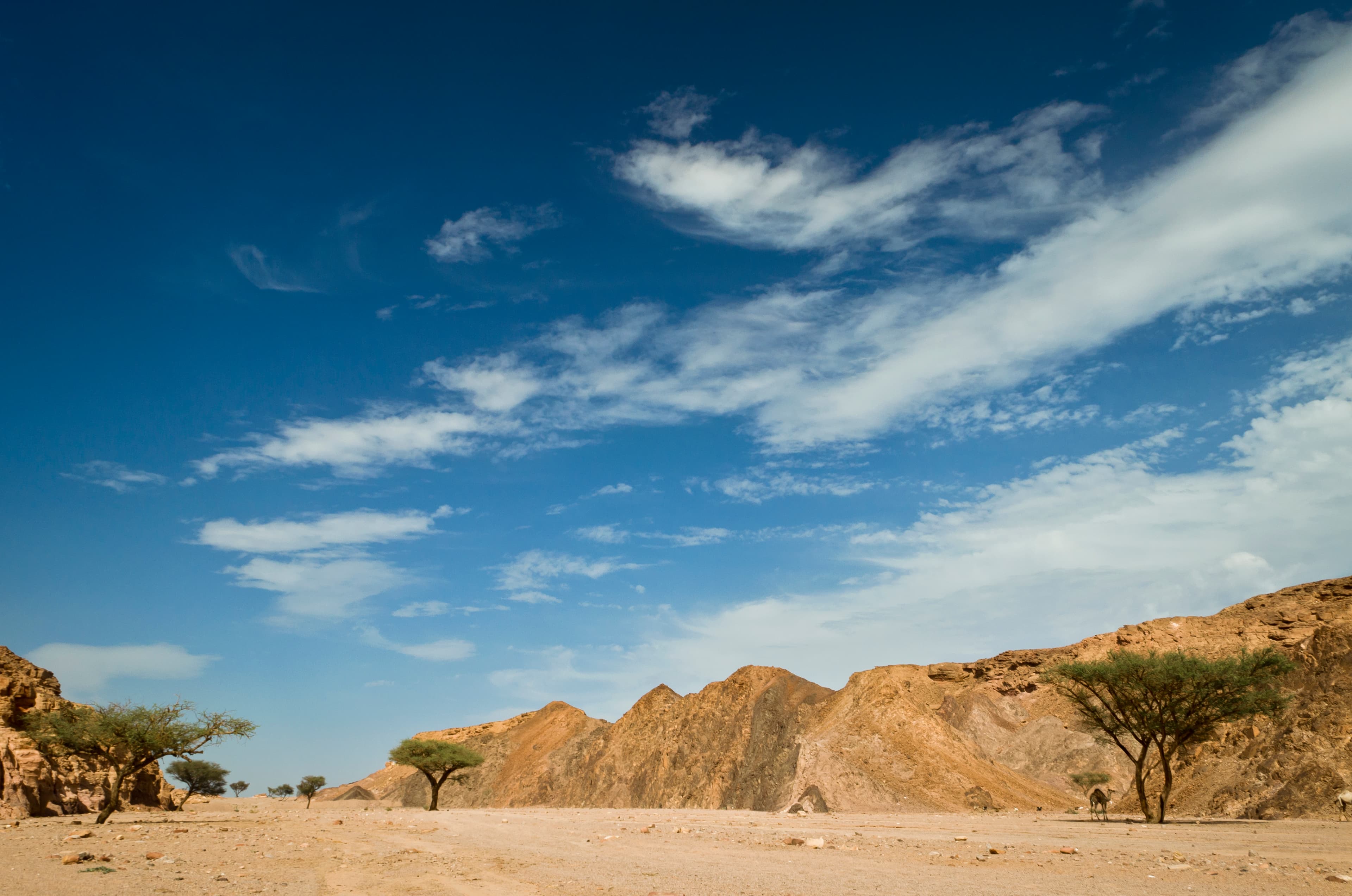 Ras Mohammed National Park