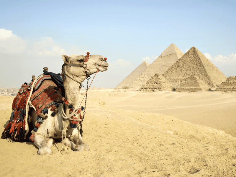 Cairo