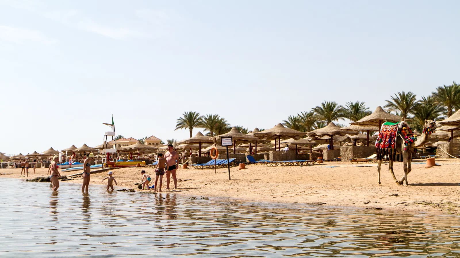 2-Day Cairo & Alexandria from Hurghada