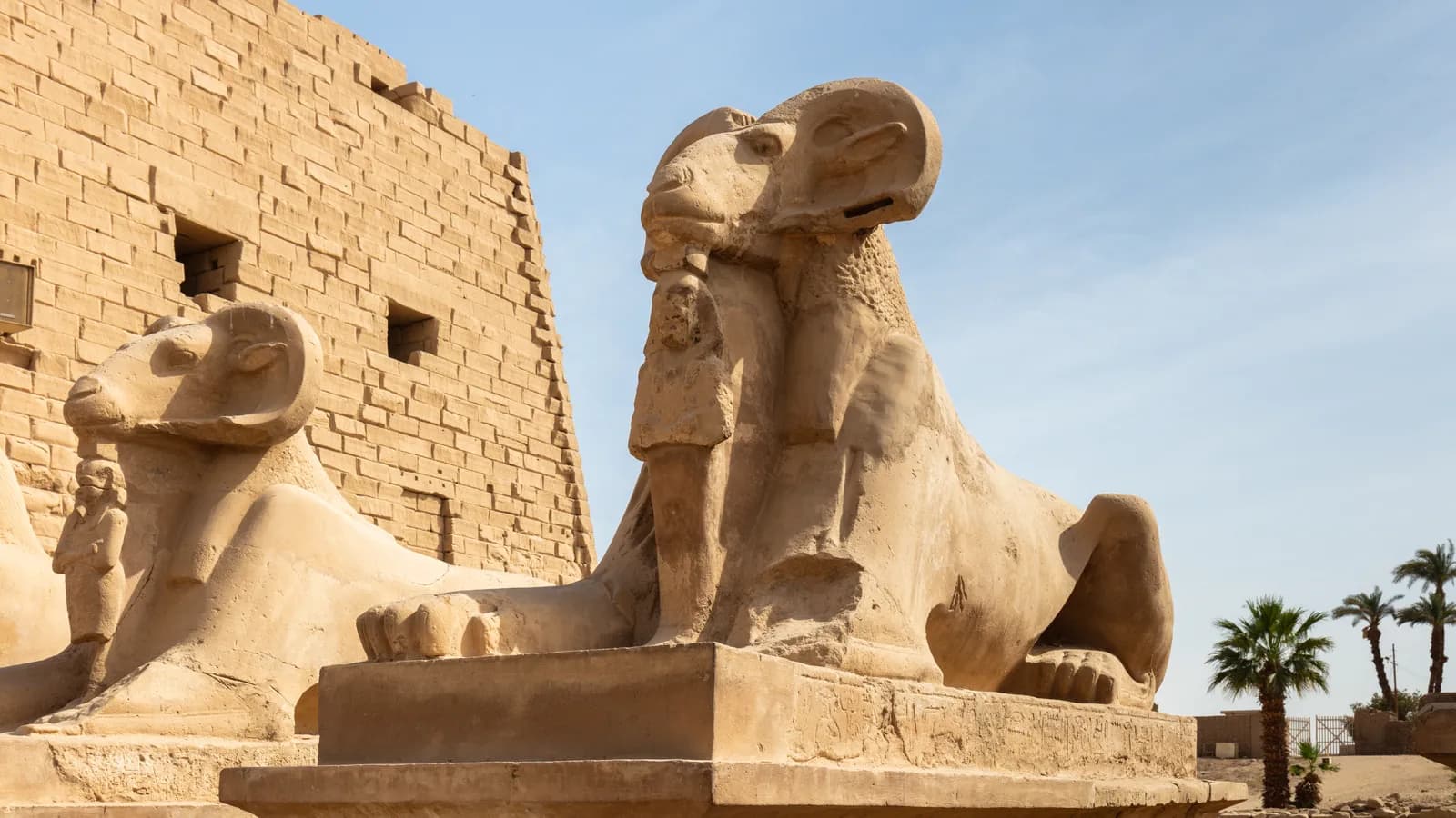 Luxury Nile Cruise: Luxor to Aswan 5-Day Journey