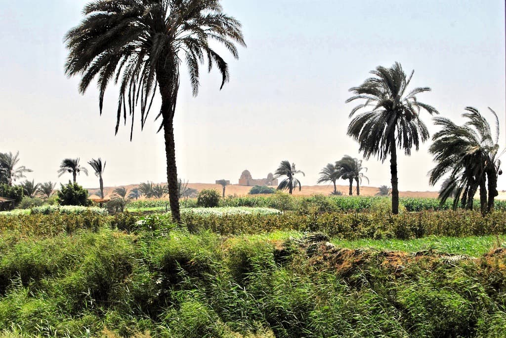 Fayoum Oasis: Your Guide to Egypt's Hidden Gem