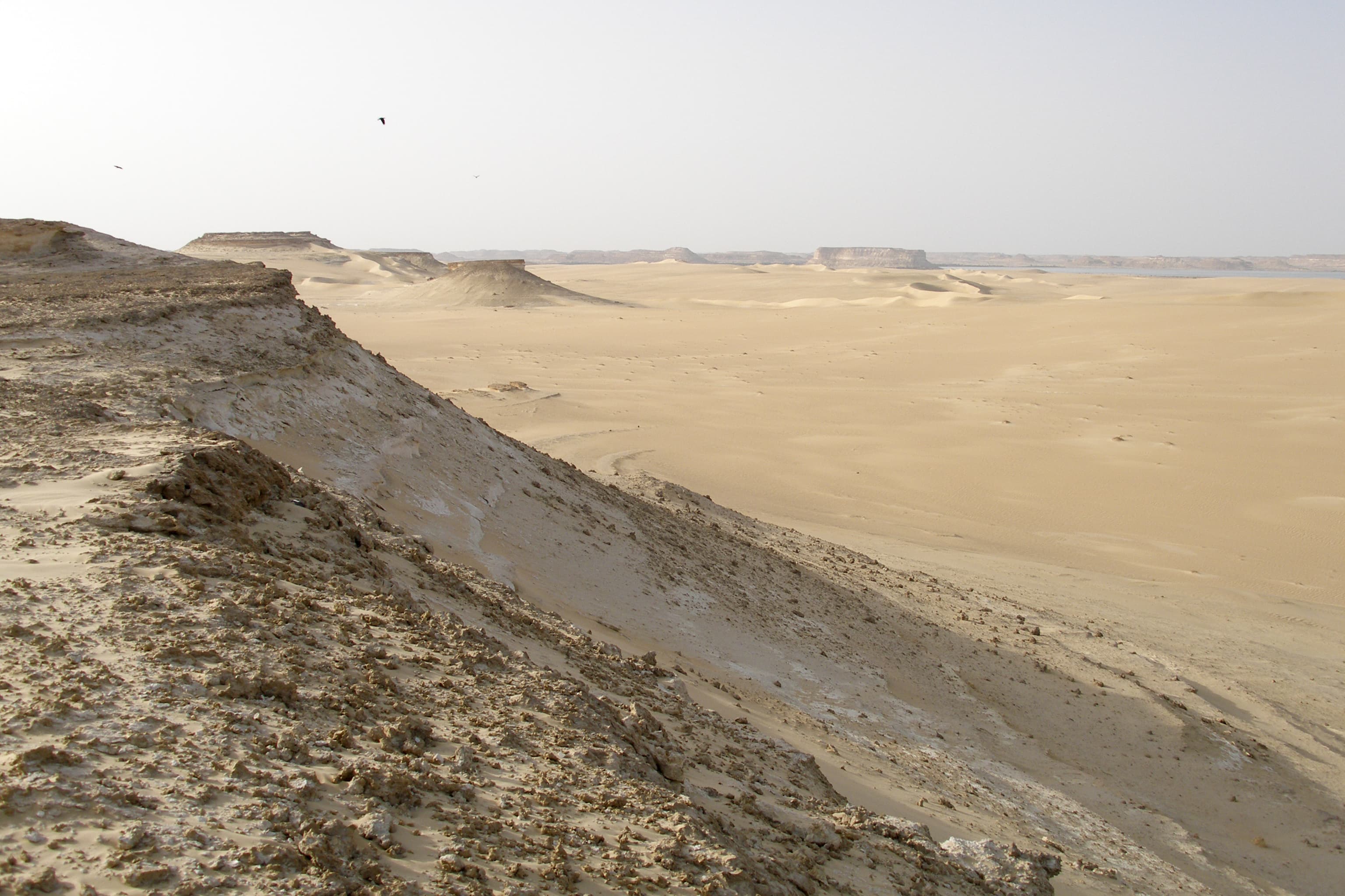 Egypt's Western Desert and Oases: A Journey Through Time