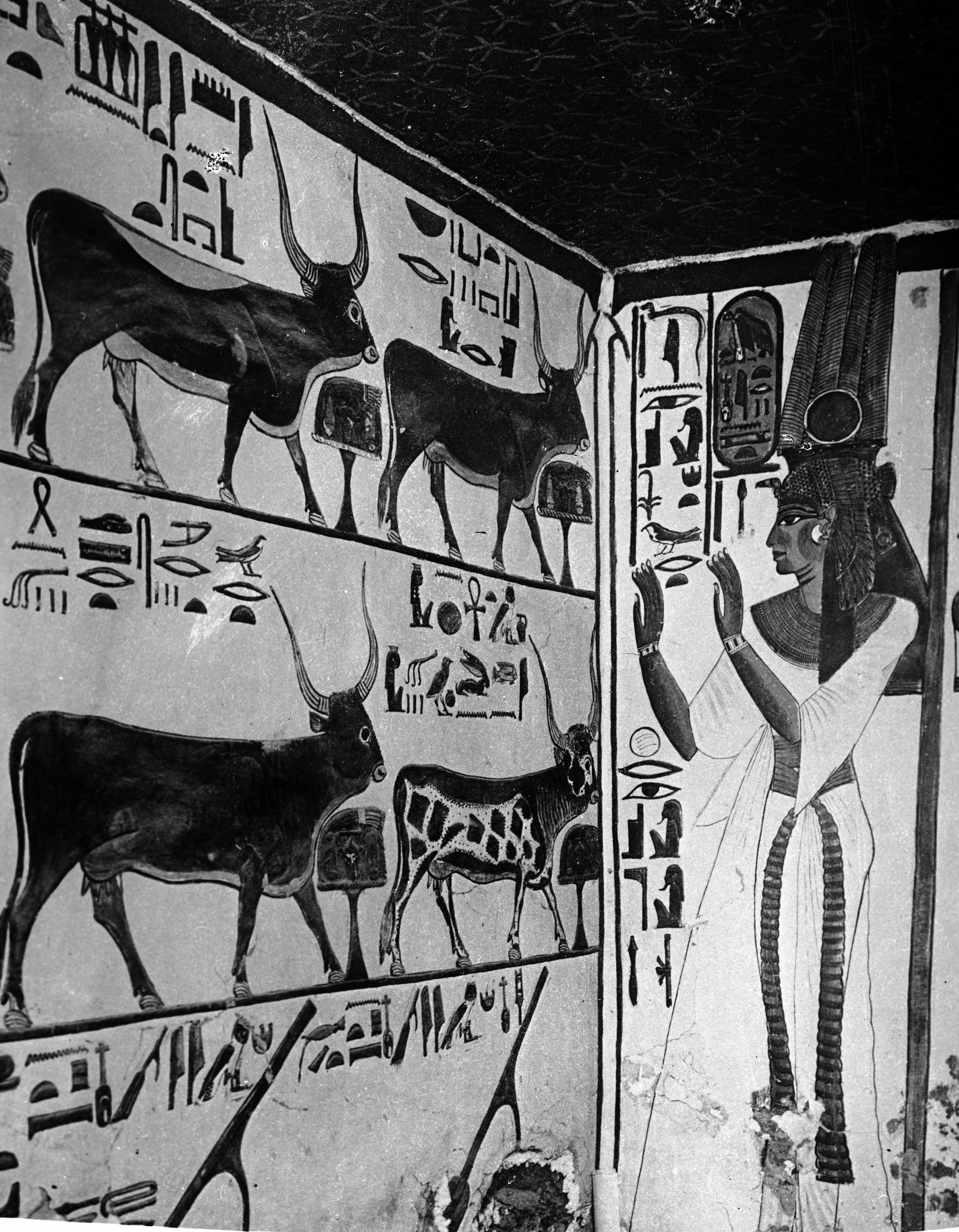 Valley of the Queens: A Journey Through Royal Tombs