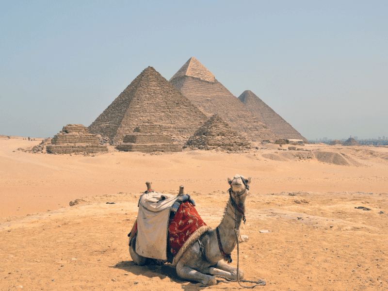 2 Days Tour to Cairo & Luxor from Safaga Port