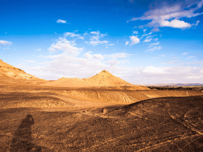 Bahariya Oasis 2 Days 1 Night Camping