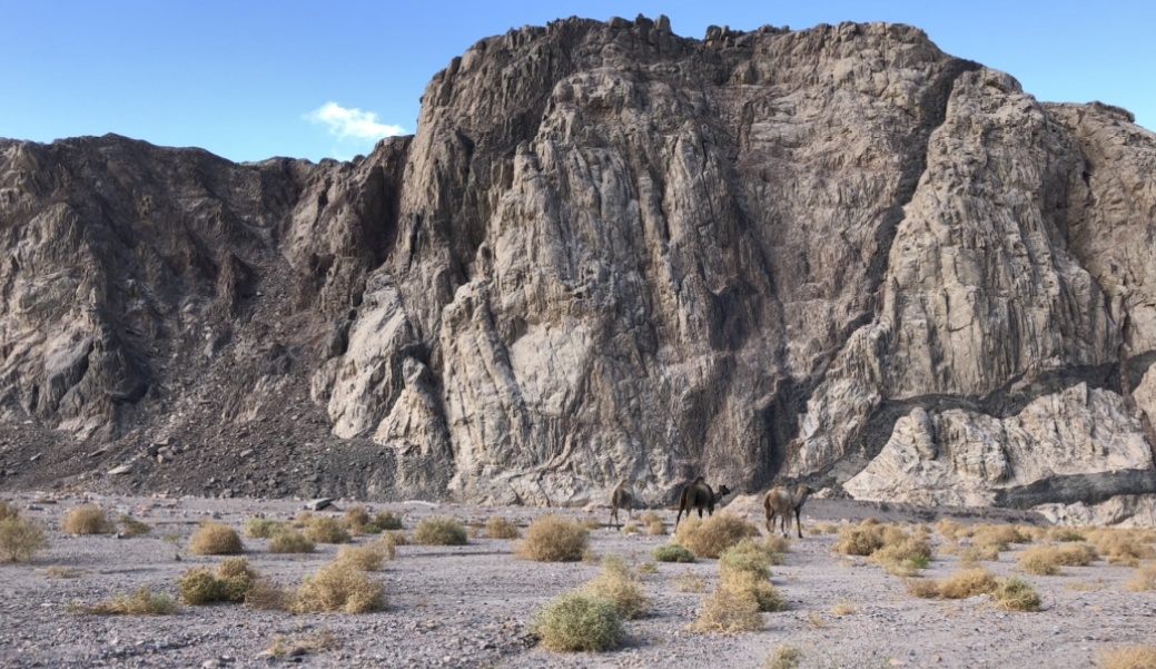 Beyond the Beach: Desert Adventures & Coastal Culture