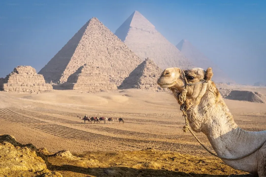 Pyramids of Giza, Cairo – Svatá rodina na cestě v Egyptě: 11 dní