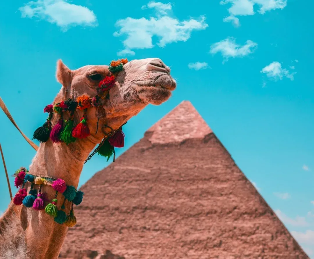 Pyramids of Giza, Cairo – 12-tägige Ägypten-Überlandexpedition
