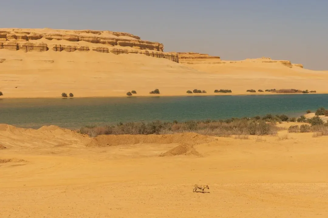 Siwa Oasis – Aventura Ultimate Egipto y Desierto de Siwa de 15 Días