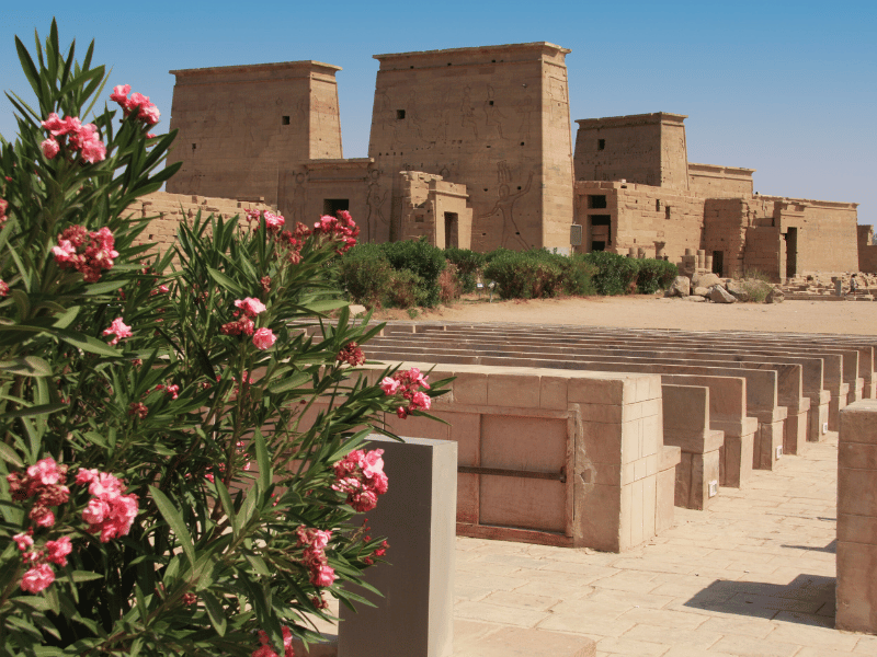 2 Days Aswan, Abu Simble & Luxor from Cairo highlight 4