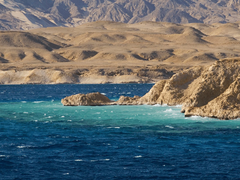 Snorkeling Trip & Excursion from Safaga Port highlight 1