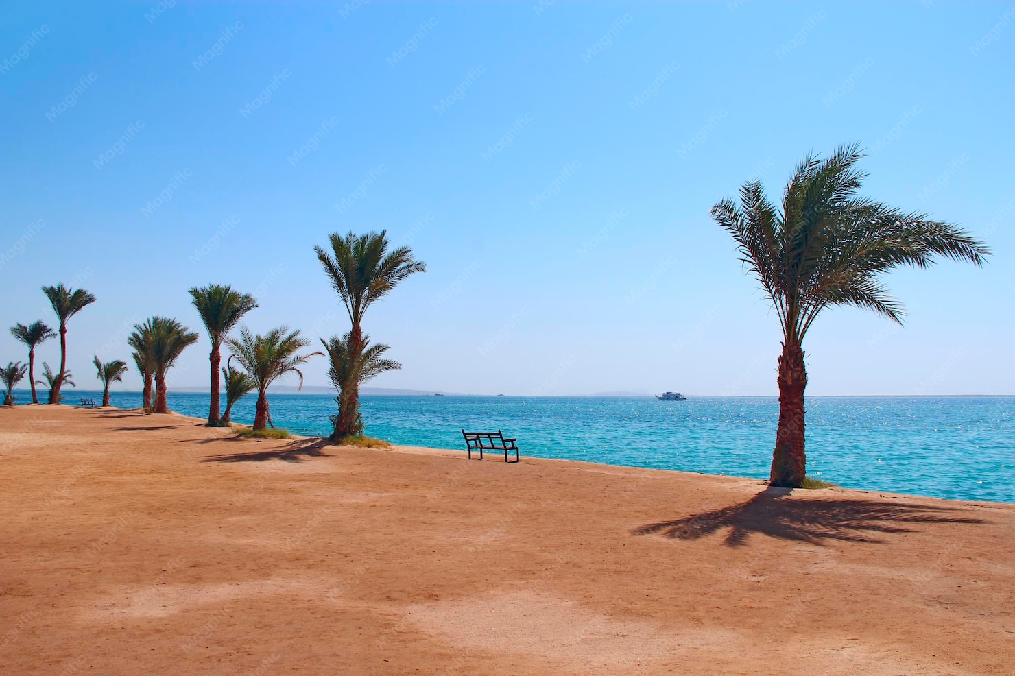 Playa y palmeras, Tiempo y clima de Egipto