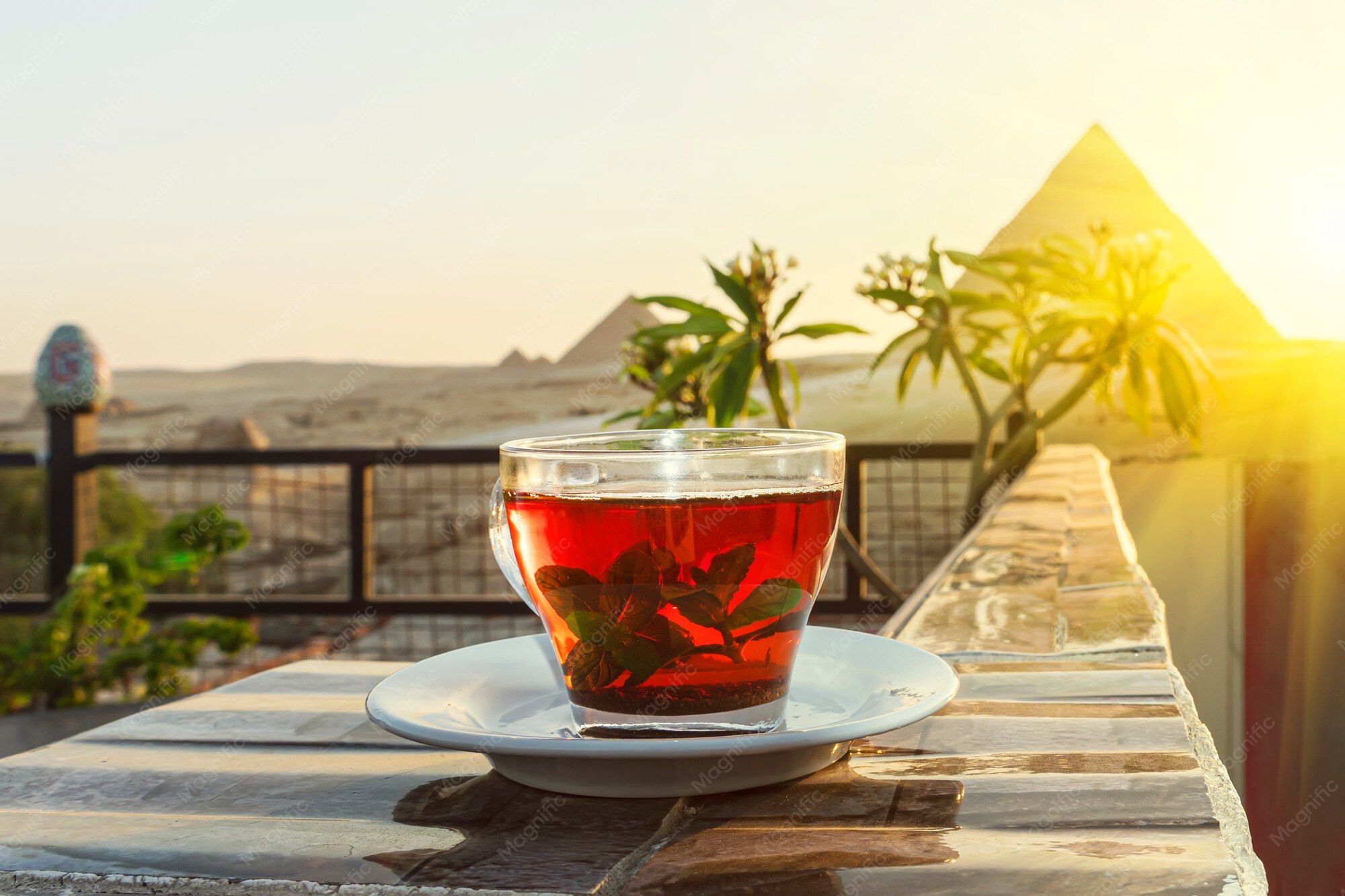Two clear glasses of Egyptian tea with mint
