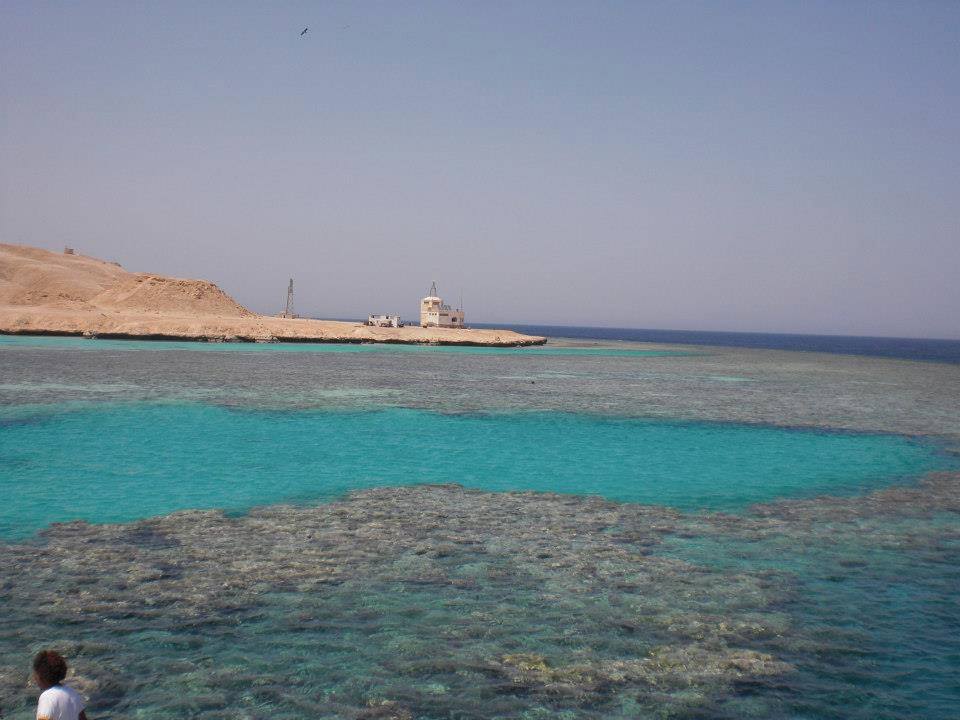 Snorkling in Red Sea