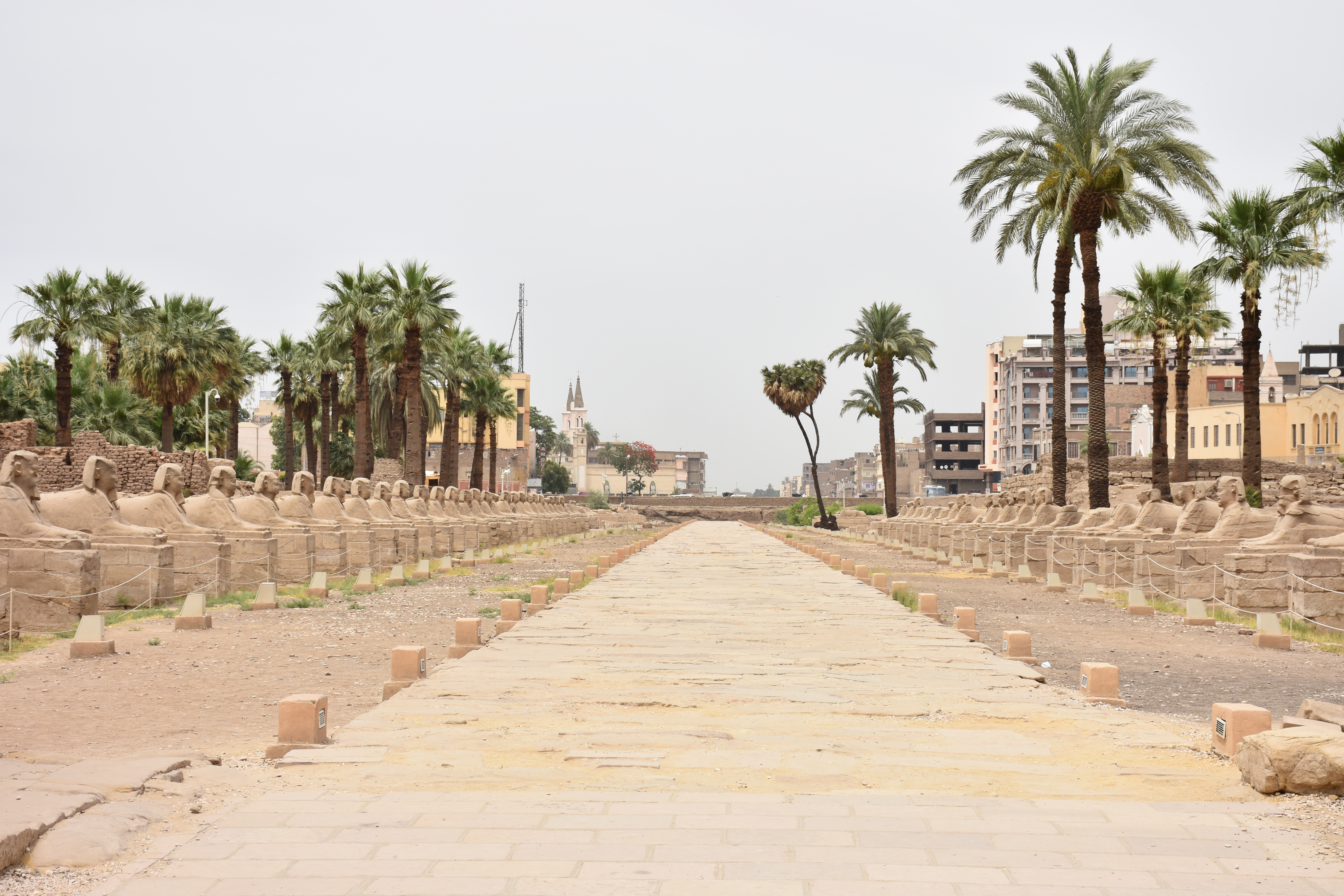 Avenida de las Esfinges que conduce al Templo de Luxor