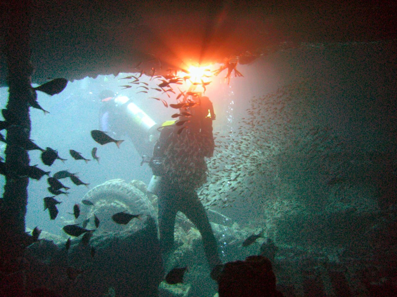 Underwater view of the SS Thistlegorm shipwreck, surrounded by marine life in the Red Sea