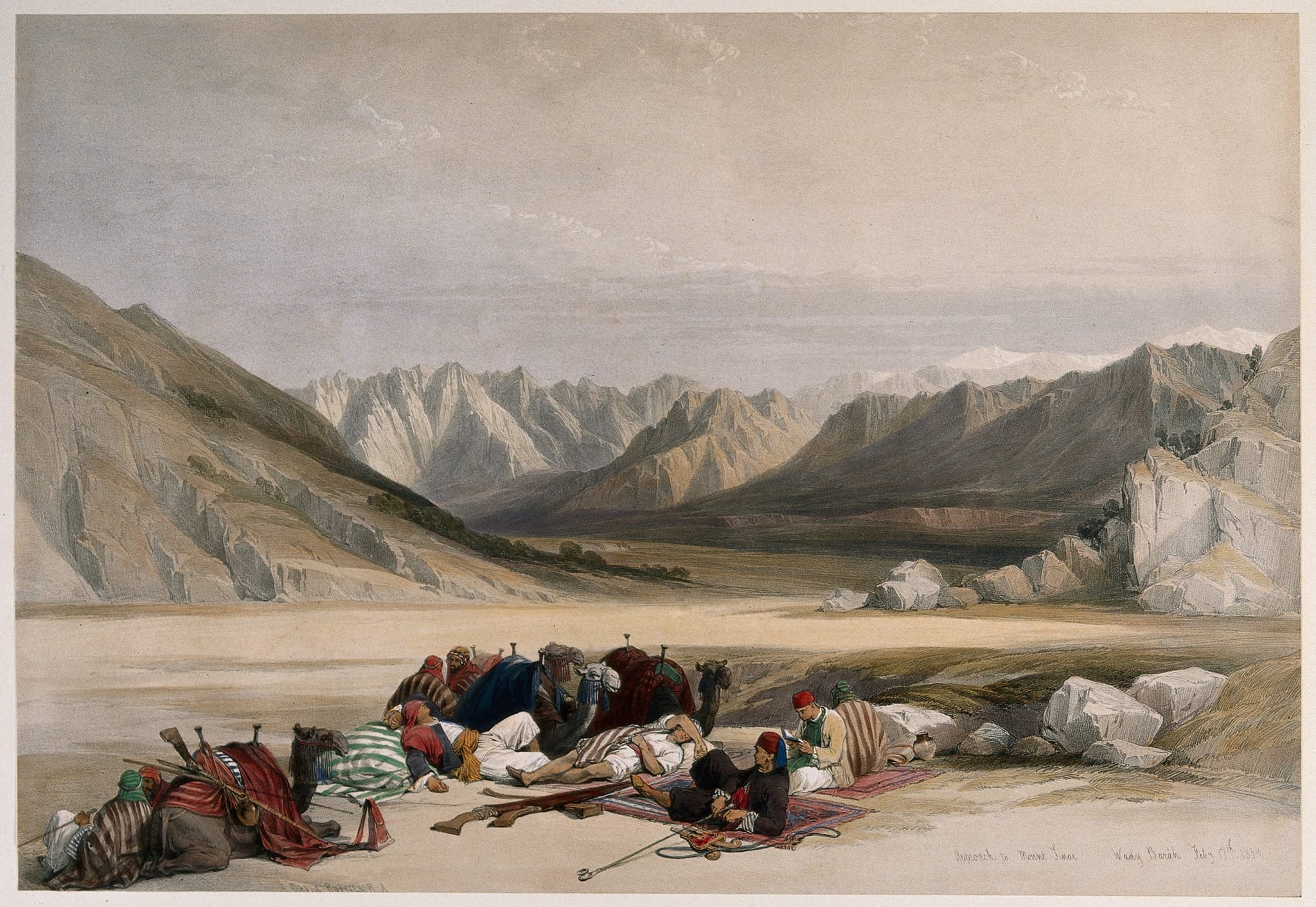 Camels Resting in the Egyptian Desert in sinai, Sinai Peninsula
