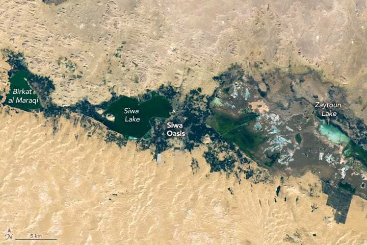 salt pool in Siwa, Siwa Oasis Egypt 