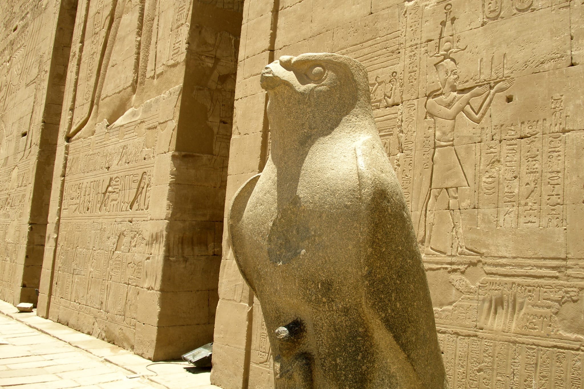 Estátua de Hórus no Templo de Edfu, Templo de Edfu