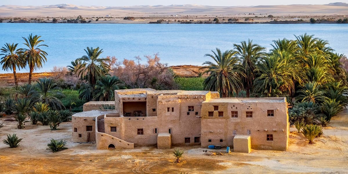 Oásis de Siwa, Deserto Ocidental e Oásis Egito