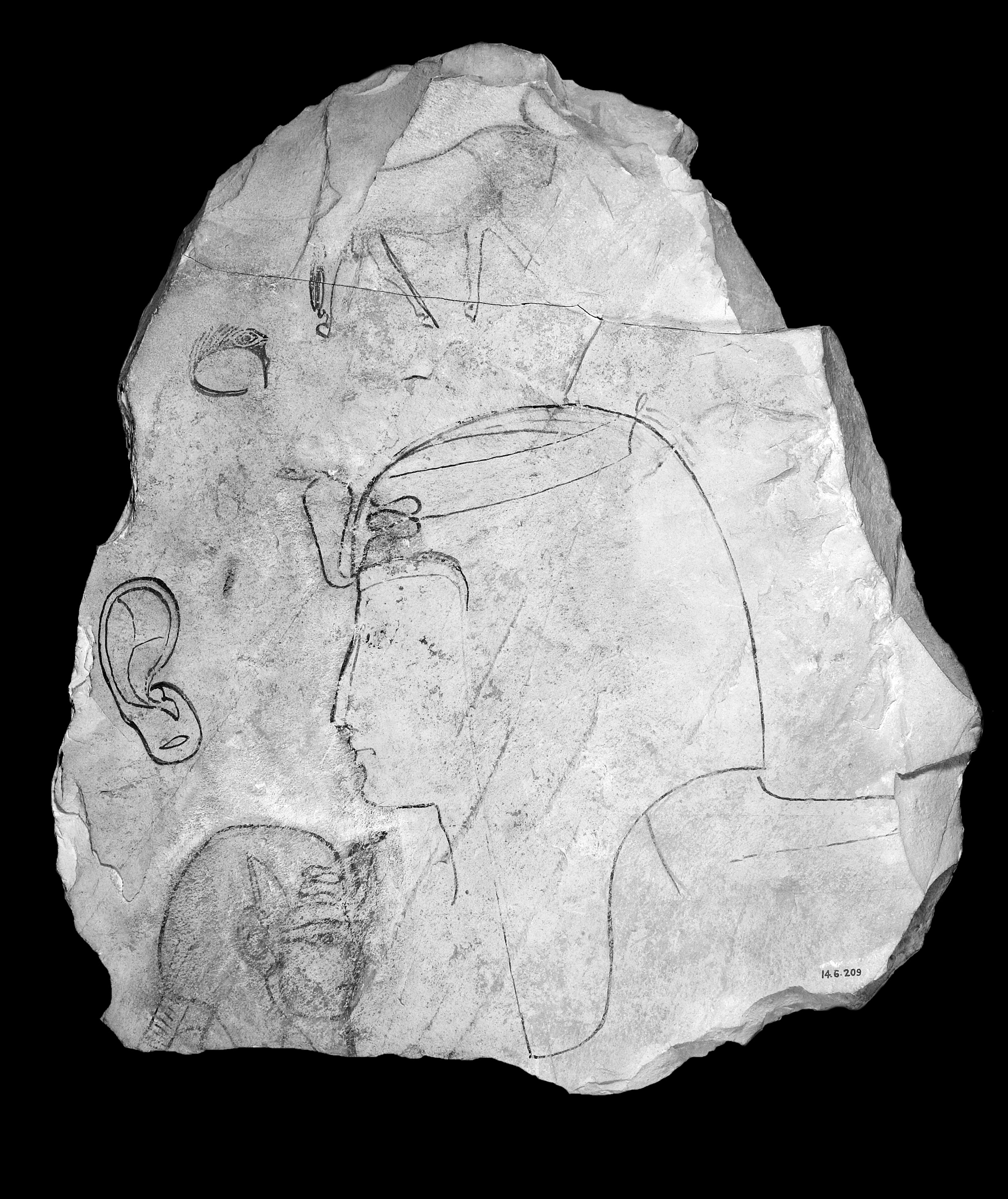 Obra de arte del Valle de los Reyes