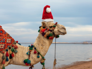 Christmas in egypt