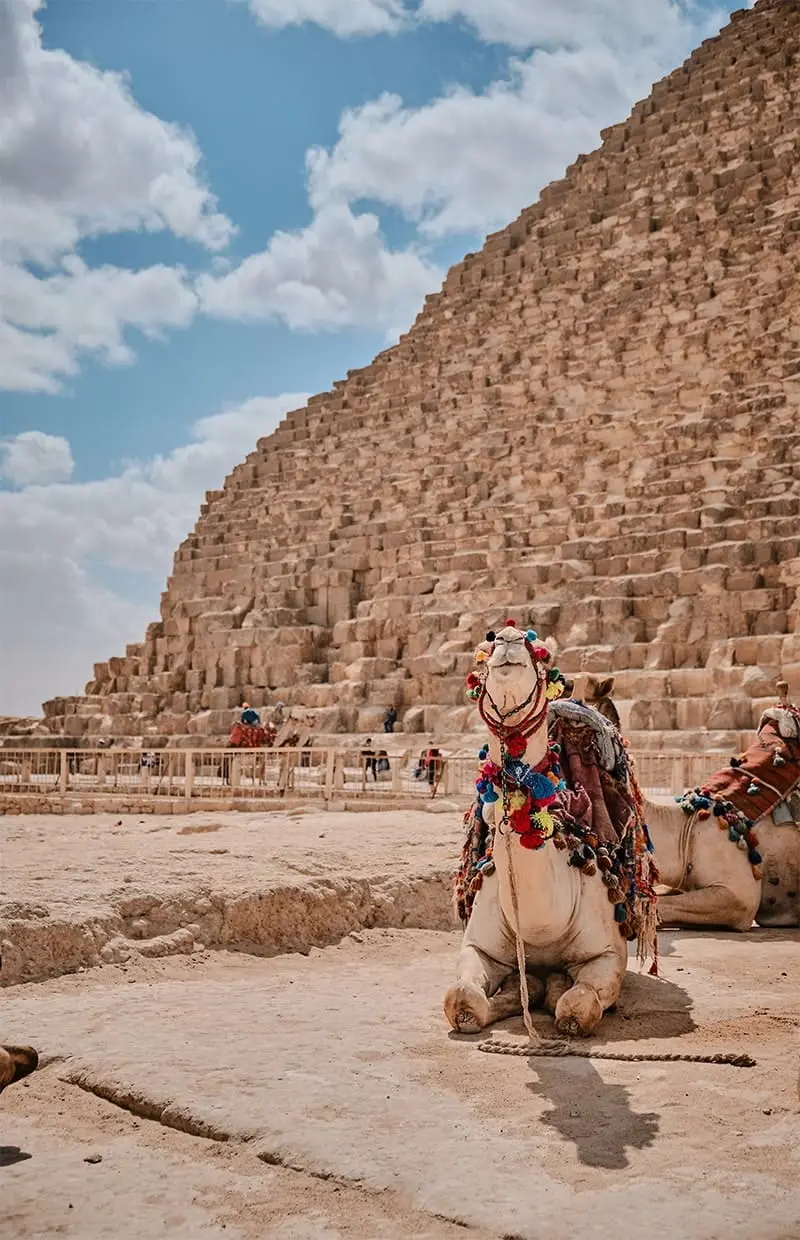 egypt joy travel reviews