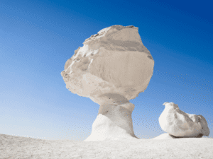 Chicken - Mushroom Formation