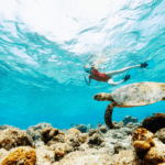 Red Sea Snorkel