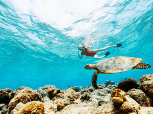 Red Sea Snorkel