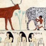 animals in ancient egypt