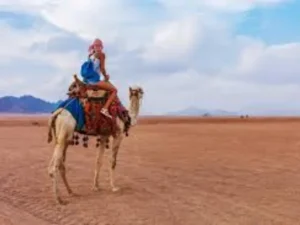 sinai desert in egypt