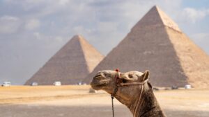 Complete Travel Guide to Cairo